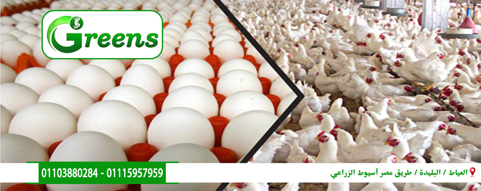 شركة جرينز للتوكيلات التجارية